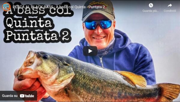 Pesca Al Black Bass A Bass Col Quinta Puntata Luca Quintavalla Bass Fishing